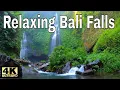 Download Lagu Ketenangan di Bali: Air Terjun yang Menenangkan, Musik yang Menenangkan, Hutan Spiritual | Suara Alam