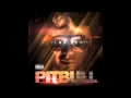 Mr Worldwide - Pitbull Ft Vein