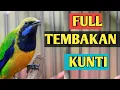 Download Lagu CUCAK CUNGKOK FULL TEMBAKAN KUNTI