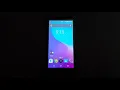 Safetynet Wireless Crush X565 -