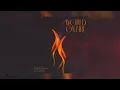 World On Fire | DJ Private Ryan x Freetown Collective x Patrice Roberts x Nigel Rojas | 2023 Release