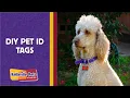 DIY Pet ID Tags Kellyville Pets