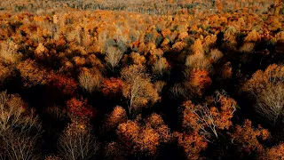 The Sirens Of Titan Song By Polytope 