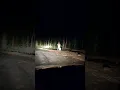 Download Lagu Haunted Road In Forest , Horror Video . #Haunted #Horror #Spooky