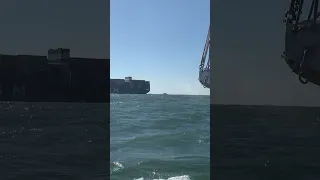 Fully Loaded 🚢