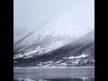 Purity