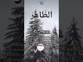 Download Lagu AZ-ZAHIR | 99 Names of Allah | Part 75 #shortvideo #islamicstatus #islam #quran #youtubeshorts