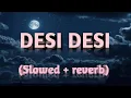 Lagu Desi Desi (Slowed + Reverb) //New Punjabi song Lofi mix || Best attitude song ||