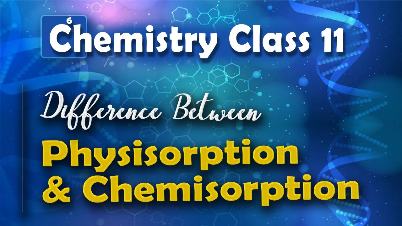 Difference Between Physisorption and Chemisorption - Surface Chemistry - Chemistry Class 11