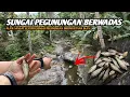 Download Lagu LIHATLAH SUNGAI INI IKANNYA MUBAL BAGAI CENDOL!! Mancing wader teknik kumbul di sungai pegunungan