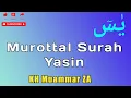 Download Lagu Surah Yasin | Murottal Surah Yasin Muammar ZA