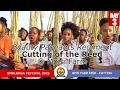 Download Lagu Umhlanga 2025: Reed Cutting @Mpisi Farm