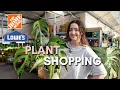 What s New Big Box Plant Shopping I haven t been in 2 months