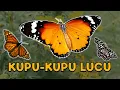 Download Lagu Kupu-kupu yang Lucu - lagu anak #kupukupuyanglucu