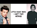 Download Lagu Little Black Dress (Lyrical Video) | One Direction
