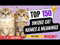 The Ultimate Guide to 150 Unique Cat Names Meanings
