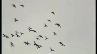 ياطير سلم على حبابي 