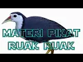 Download Lagu Ruak Ruak Tengkoah Audio Pikat Ampuh Jossssssssss