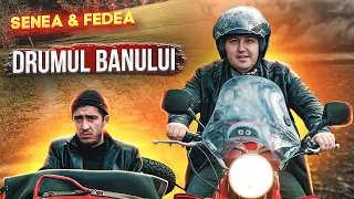 senea u0026 fedea the money road