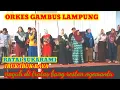 Download Lagu ORKES GAMBUS LAMPUNG - RATAI SUKARAMI - IBUK IBUK BAYA  #wirchannel