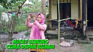 Download janda kembang mikat burung di emperan rumah bikin mlonggo tetangga 😅 MP3