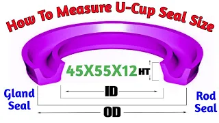 How To Measure U-Cup Seal Size Rod Seal Hydraulic Cylinder Seal Types