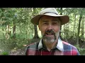 8 ESSENTIAL Tarp Shelters for Camping & Bushcraft