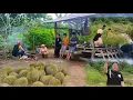 Lagu Berkemah di kebun  ramai ramai,Menjariang dan macing ikan untuk makan bersama 