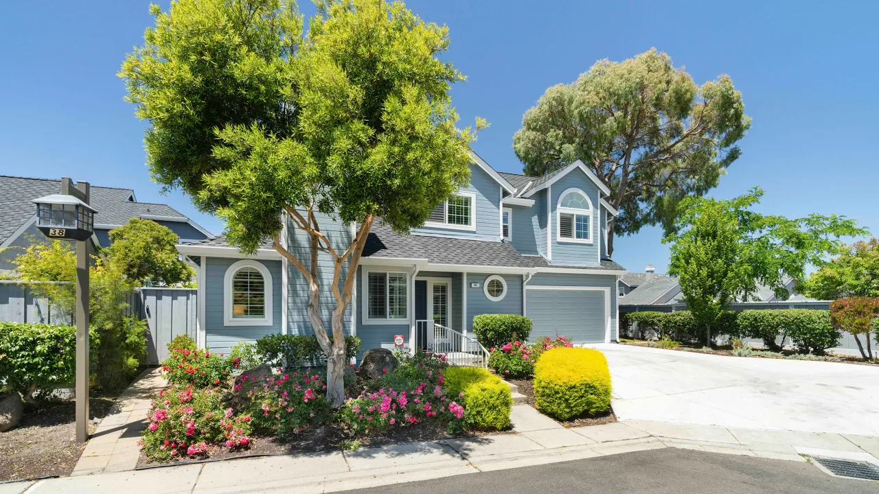 Video kapak görseli