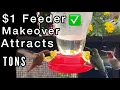 1 Hummingbird Feeder HACK brings Tons of Hummingbirds to Dollar Tree Feeder DIY Homemade Nectar