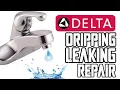 Delta Faucet Leak Repair DIY Tutorial