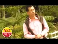 Download Lagu 秦咏Qin Yong - 浓情恋歌金曲3【可爱的马】