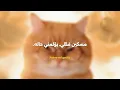 Lenar - Montagem Miau مترجمة للعربية | Montagem Miau (ARABIC SUB)