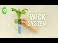 Hydroponics Wick System Explained