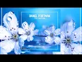 Daniel Portman - True Salvation