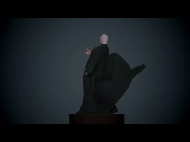Lord Voldemort, The Dark Lord - Harry Potter 3D Print STL video thumbnail