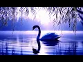 Download Lagu Tchaikovsky: Swan Lake - Complete (1957) Fayer/Bolshoi