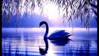 Tchaikovsky Swan Lake Complete 1957 Fayer Bolshoi 