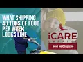Trucks Shipping iCare Warsaw 04 - 08