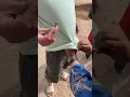 Download Lagu Magician in Agadir Morocco  crazy #travel #explore #marrakech