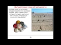 Java Semaphores Parts 1 and 2