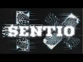 Download Lagu Martin Garrix SENTIO Full Album Mix by Sakul