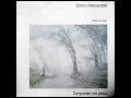 Download Lagu Enrico Marcandalli - Temporale Nel Parco (1983) FULL ALBUM [Italian Ambient Folk, Acoustic]
