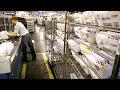 USPS PSE MAIL PROCESSING CLERK description pay and Requirements