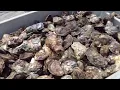 Shellfish lovers can find the best seafood spots with Oyster Trail