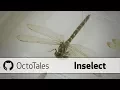 Octotales - Inselect