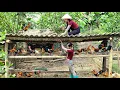 Download Lagu Agricultural vehicle,sister came to help rebuild the chicken coop after the big storm#farm#truck