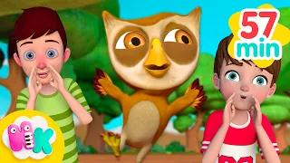 Dans la forêt lointaine | Coucou hibou | Chansons pour Enfants | HeyKids en Français