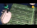 Lagu VarkensTV - EuroTier2014 - Weda