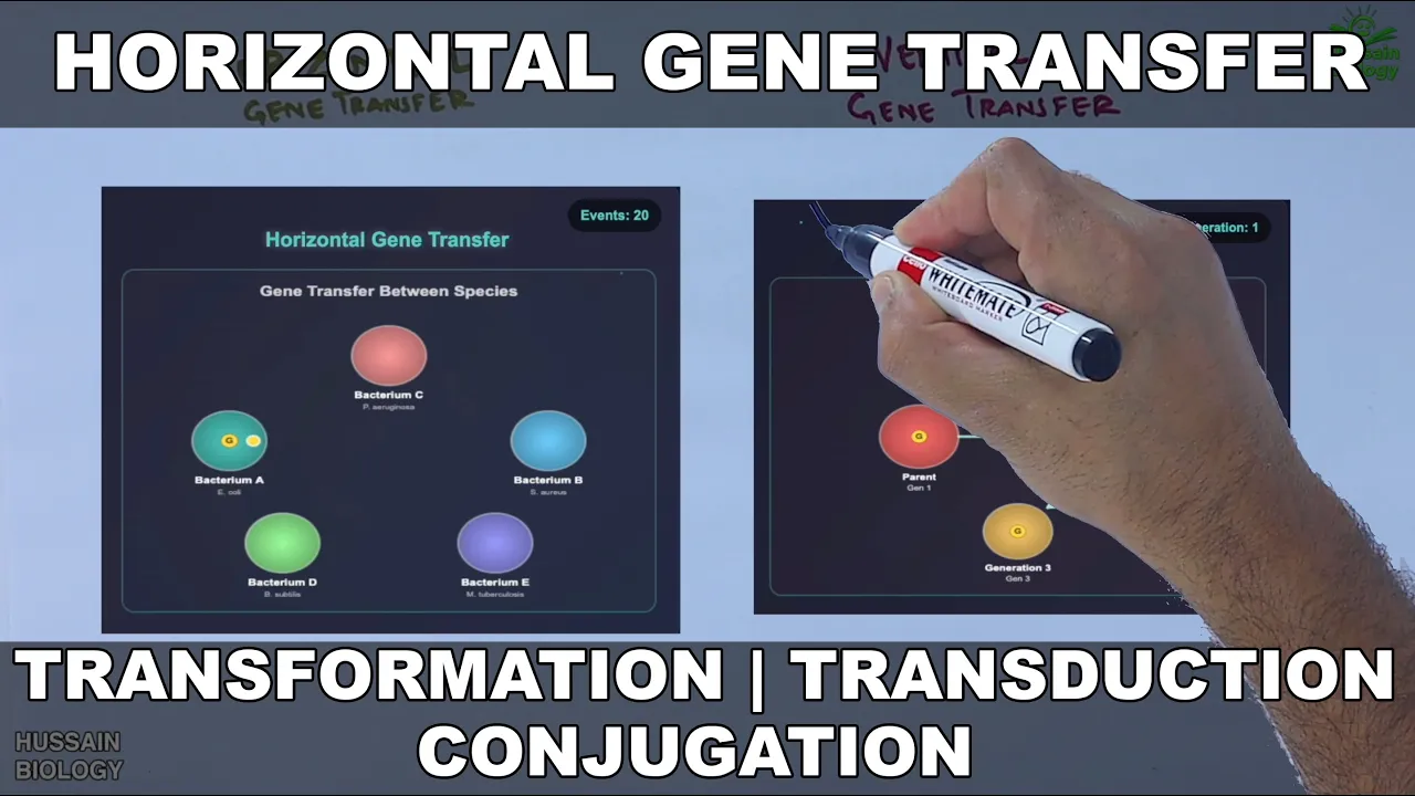 Horizontal Gene Transfer